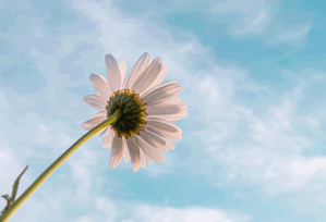 acg资源网官网进入